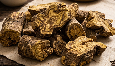 Radix et Rhizoma Rhei